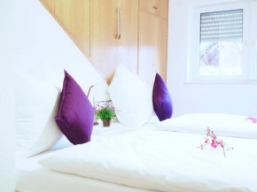 Villa Natur Monteur & Ferienwohnung mit WLAN & PARKPLATZ